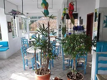 ***  Letto Hotel Jurerê Guest House Florianópolis Brasile