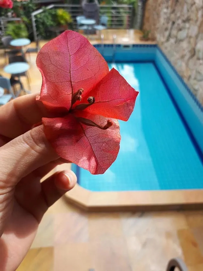 Letto Hotel Jurerê Guest House Florianópolis